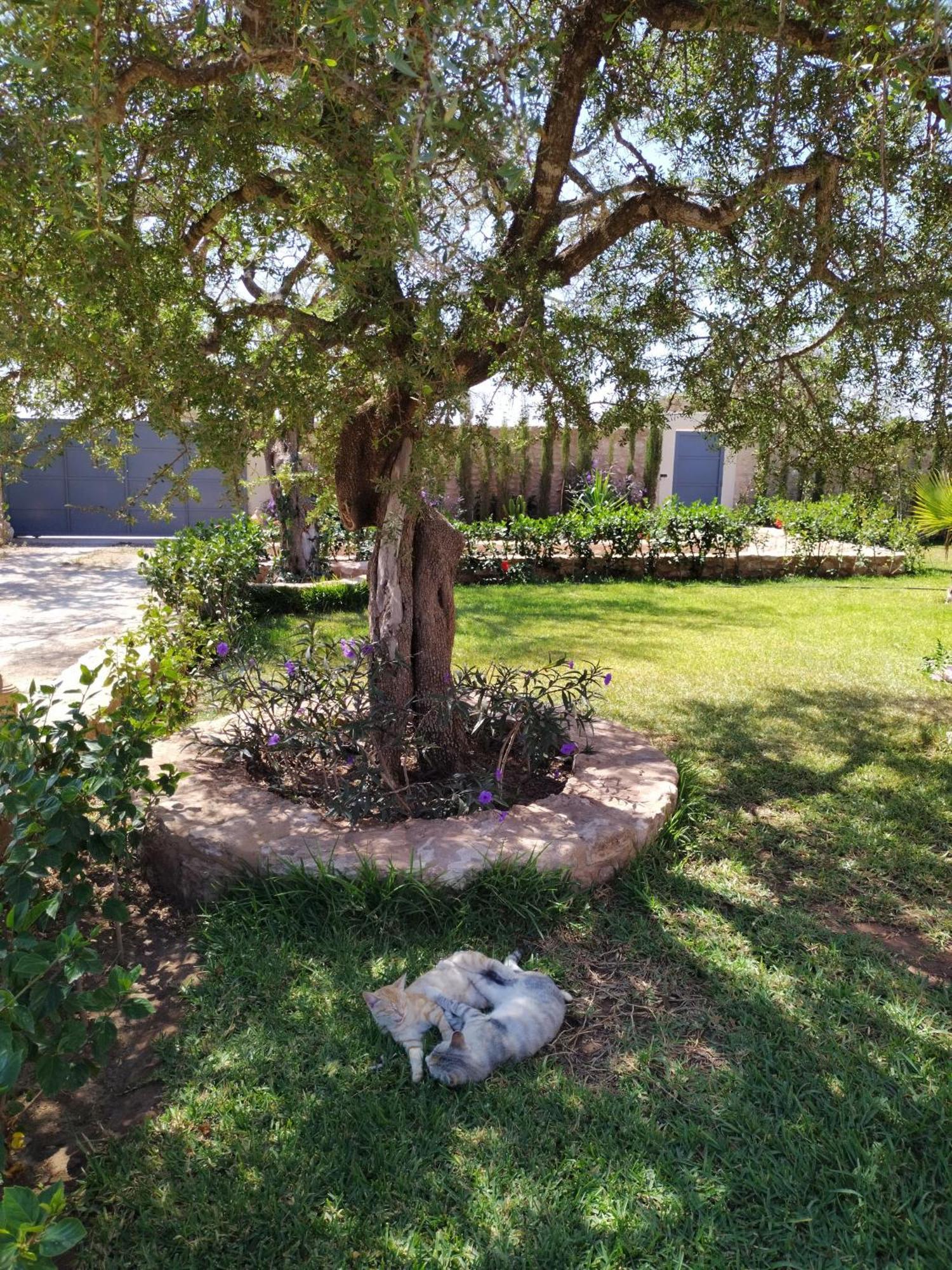 Villa Iyad Essaouira Buitenkant foto
