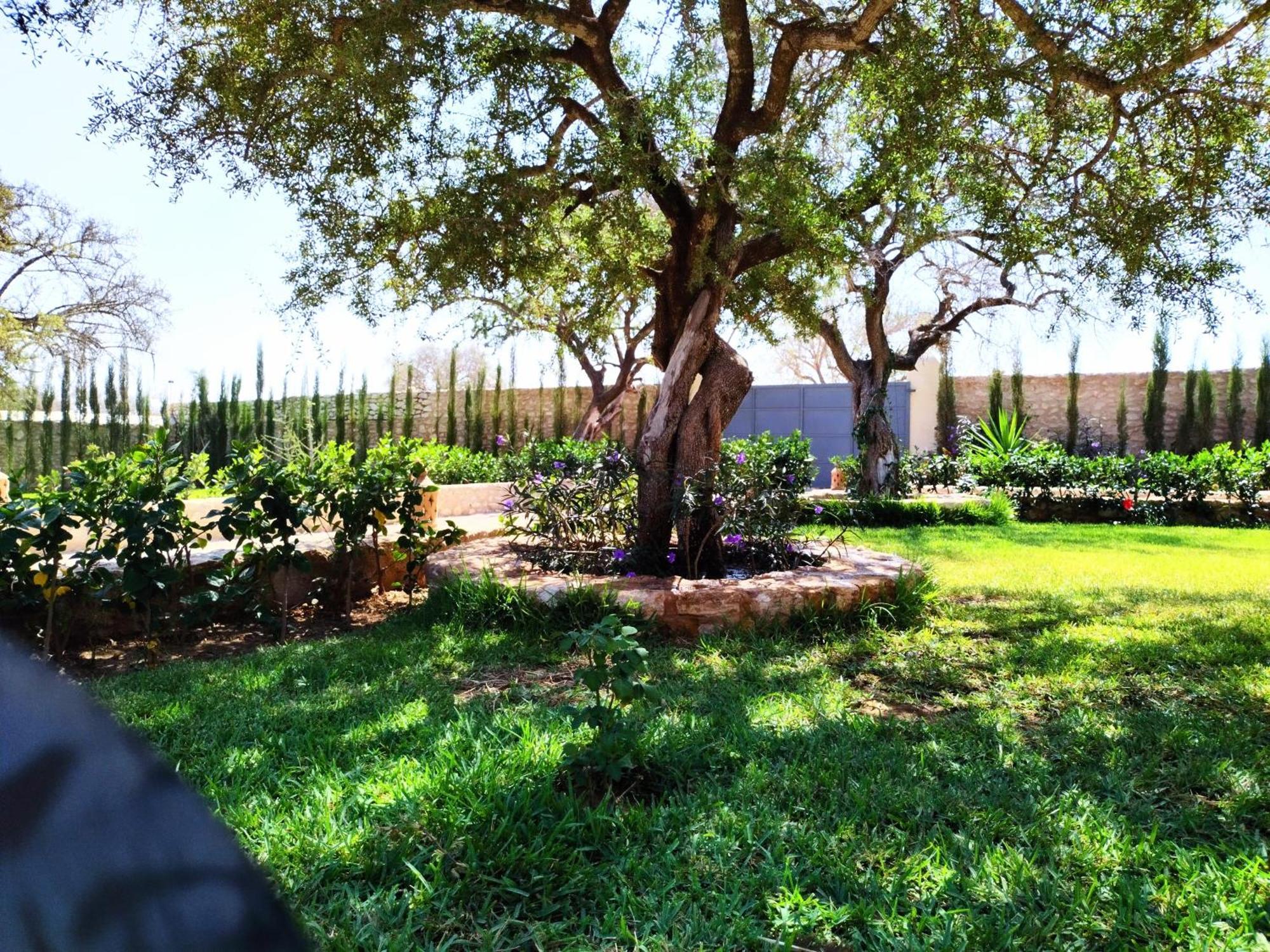 Villa Iyad Essaouira Buitenkant foto