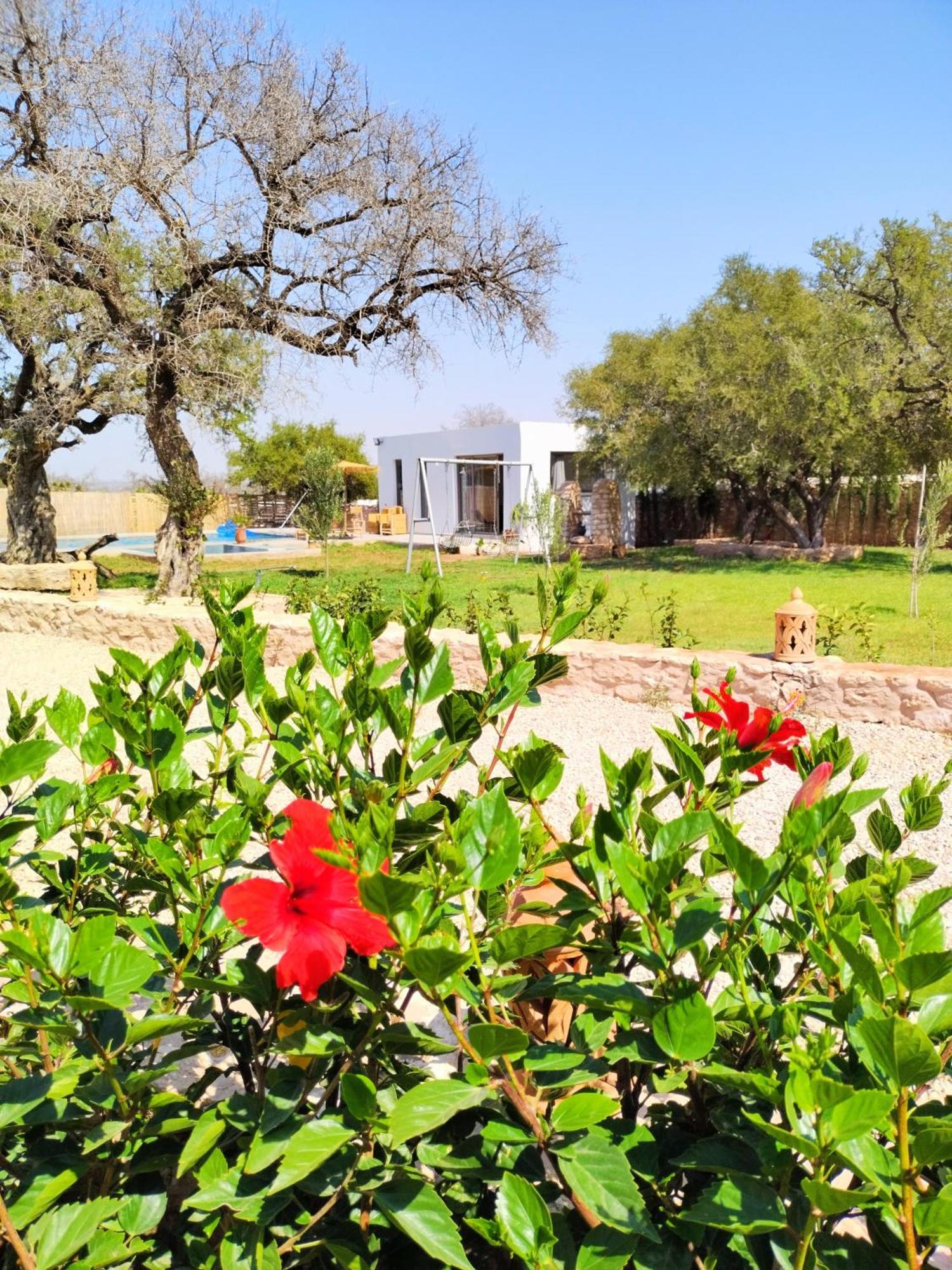 Villa Iyad Essaouira Buitenkant foto